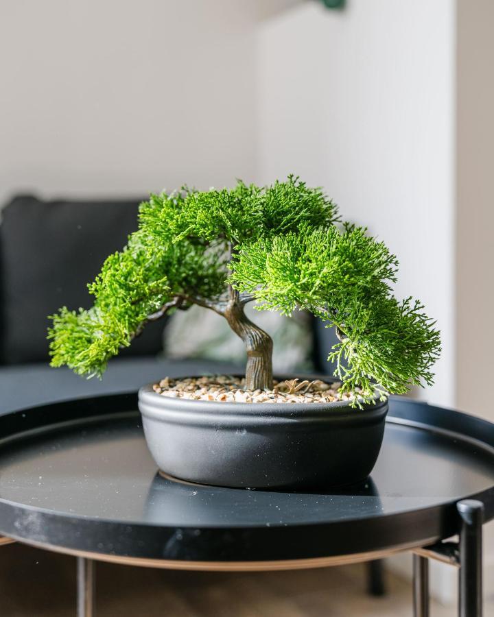 Studio Nicehome Massena エクステリア 写真